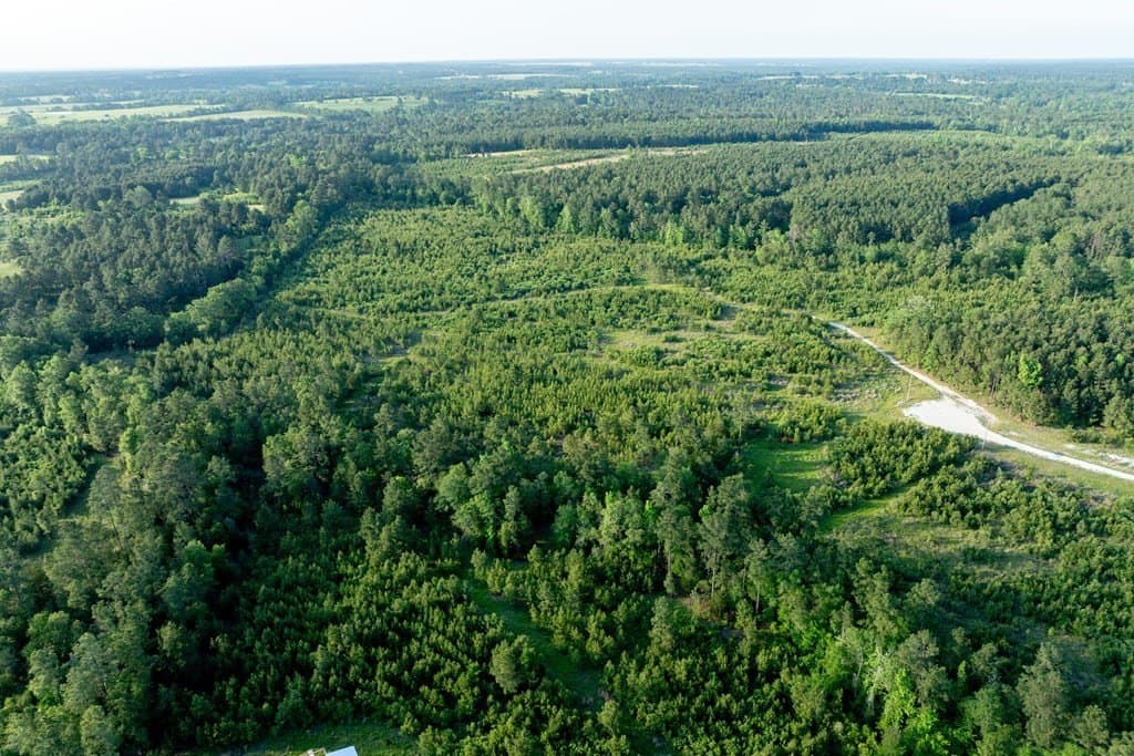 10.01 acres in HOUSTON County - photo 6