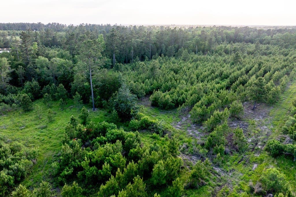 10.01 acres in HOUSTON County - photo 21