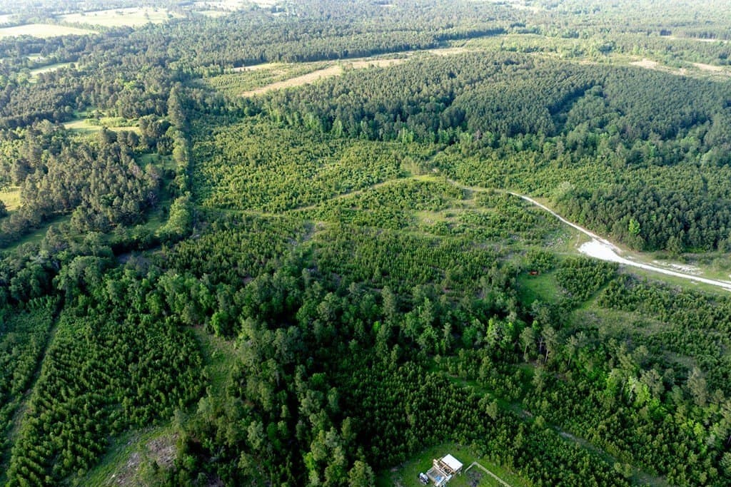 10.01 acres in HOUSTON County - photo 8