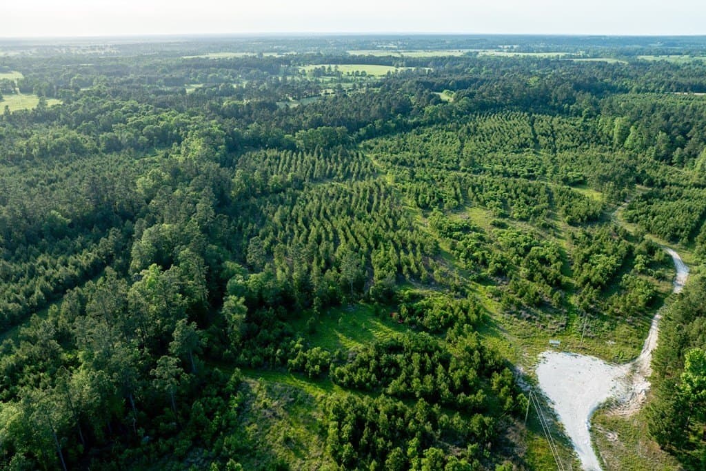 10.01 acres in HOUSTON County - photo 4