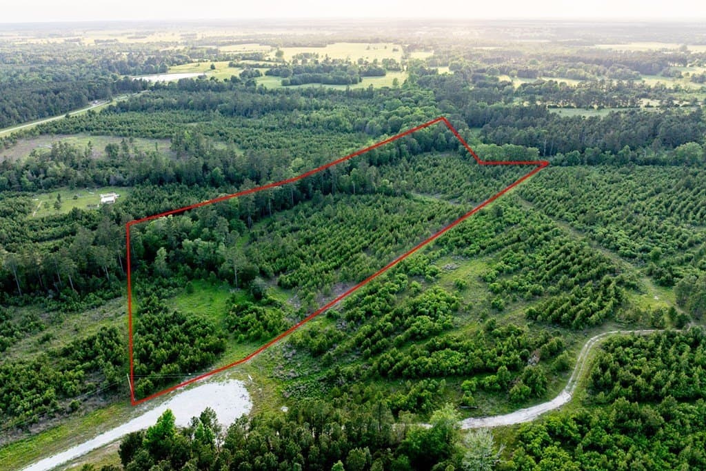 10.01 acres in HOUSTON County - photo 19