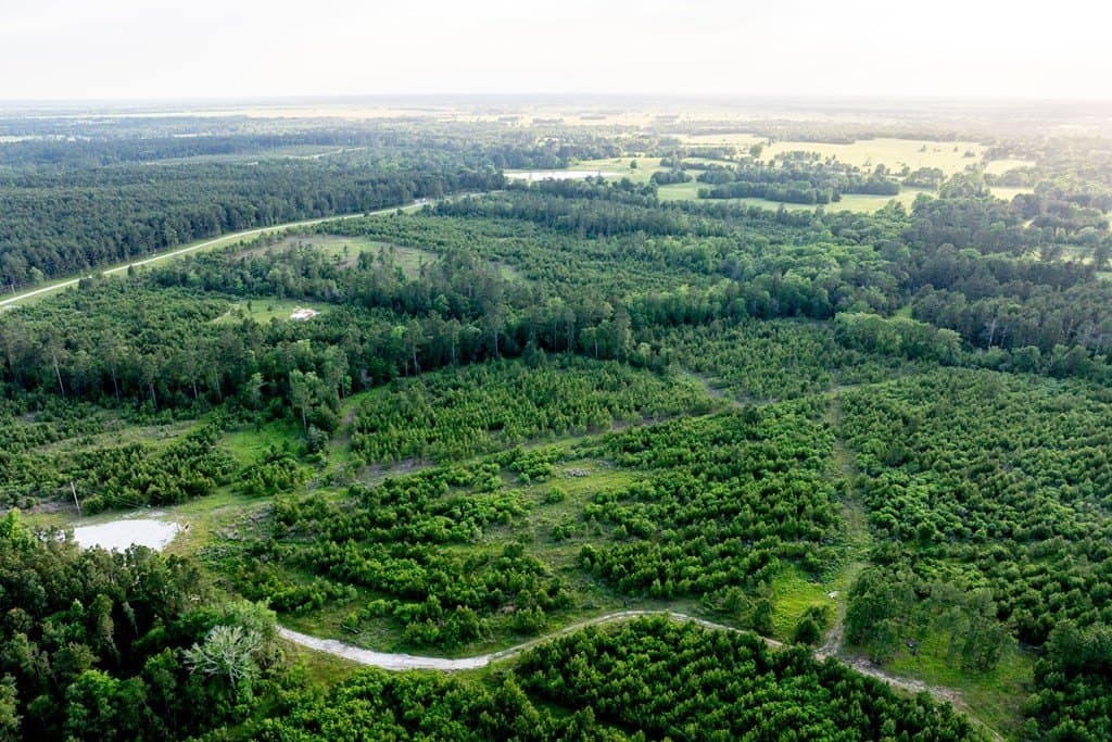 10.01 acres in HOUSTON County - photo 18