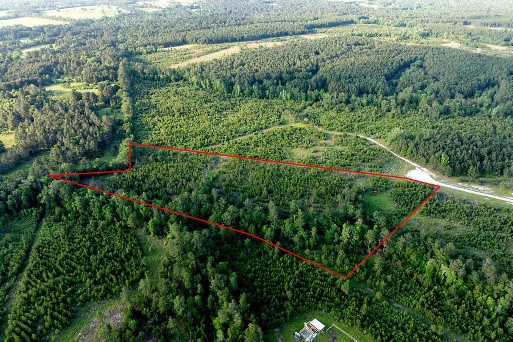 10.01 acres in HOUSTON County - photo 7