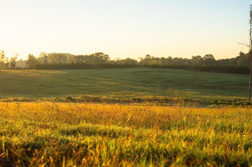 494.46 acres in Smith County - photo 34