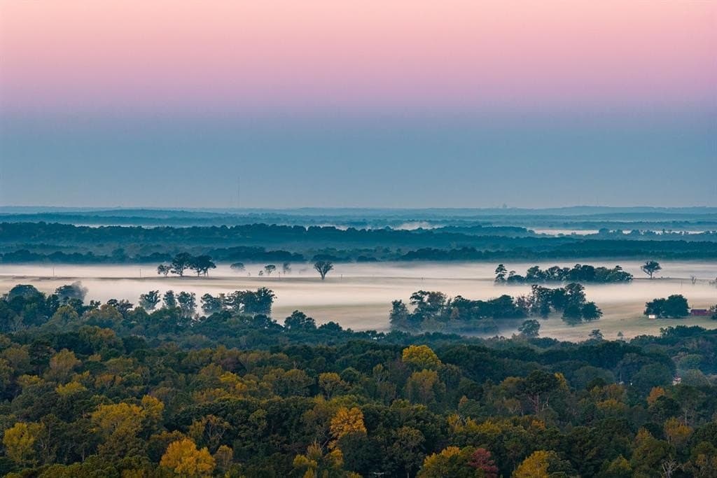 494.46 acres in Smith County - photo 38