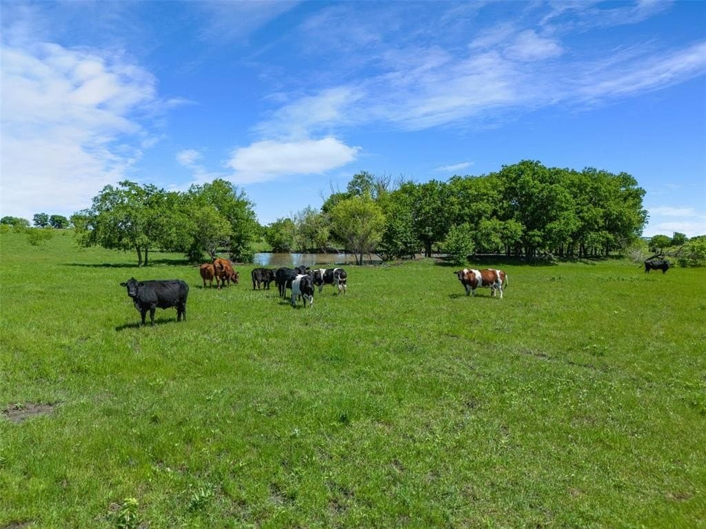 27.16 acres in Johnson County - photo 17