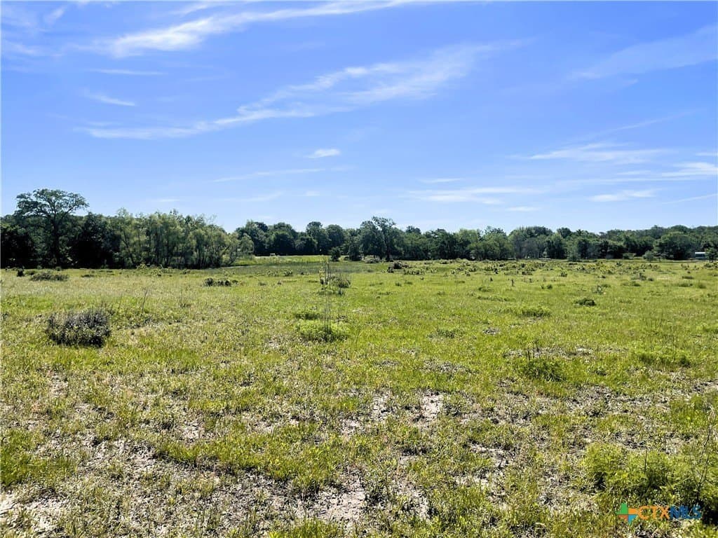 15 acres in Limestone County - photo 13