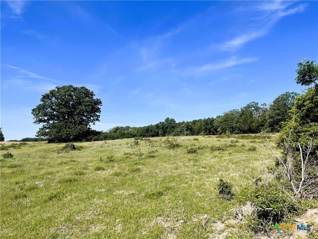 15 acres in Limestone County - photo 14
