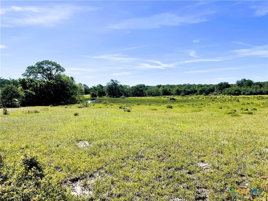 15 acres in Limestone County - photo 15
