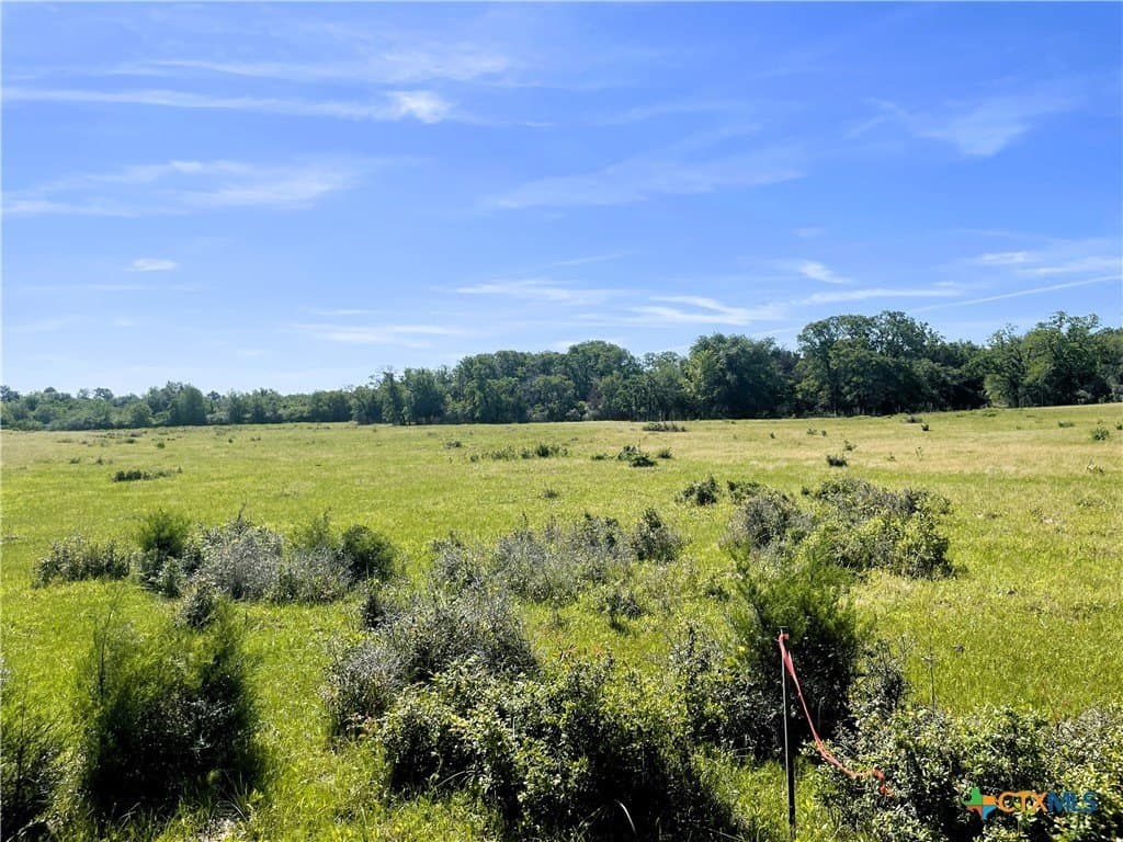 15 acres in Limestone County - photo 16