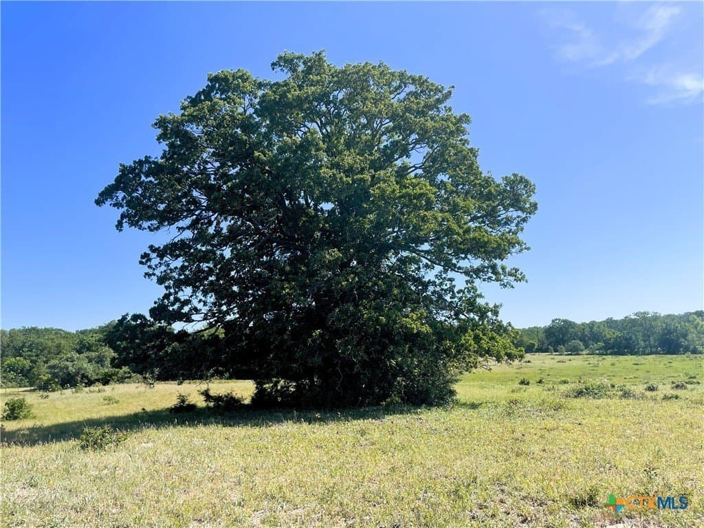 15 acres in Limestone County - photo 11