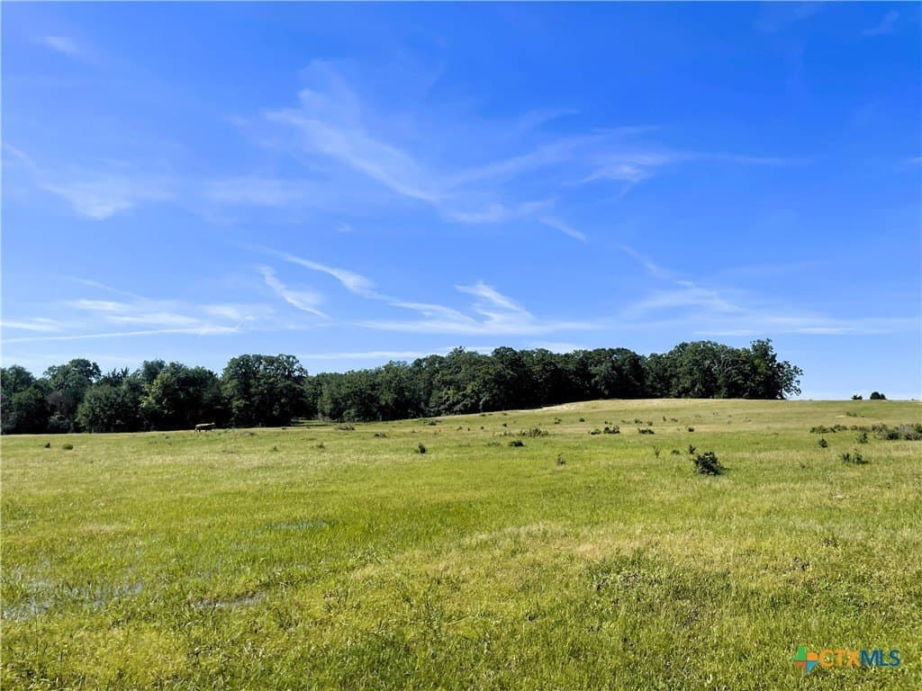 15 acres in Limestone County - photo 12