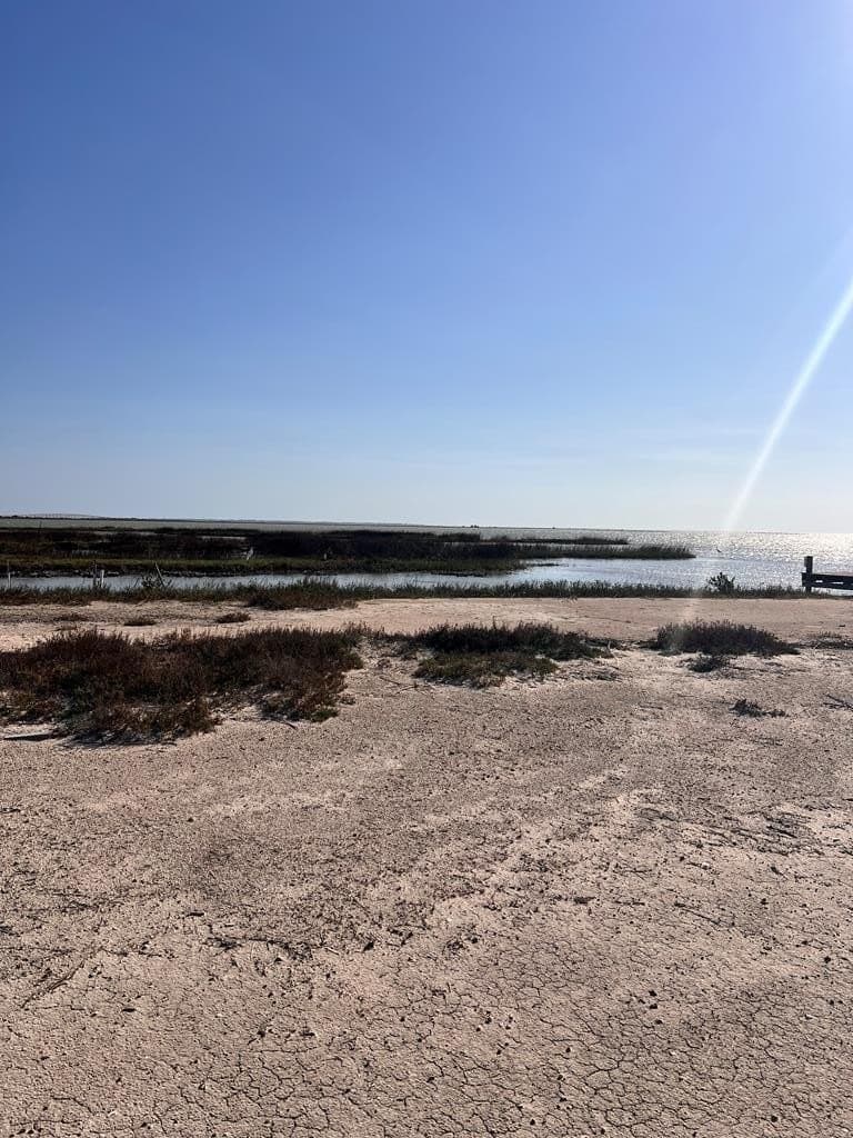 0 acres in Texas County - photo 29