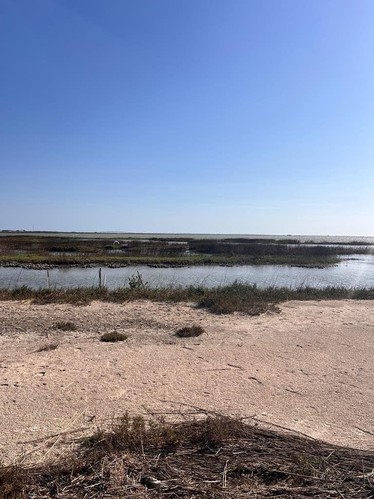 0 acres in Texas County - photo 31