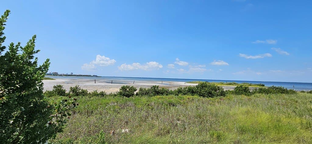 0 acres in Cameron County - photo 6