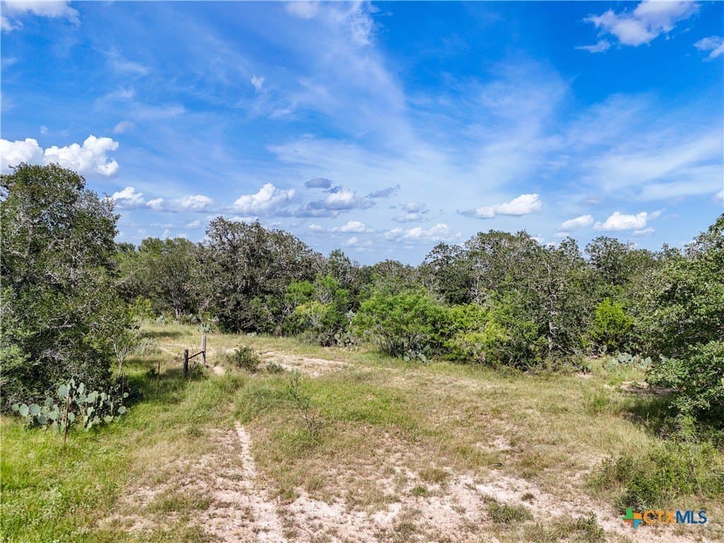 11.55 acres in Gonzales County - photo 7