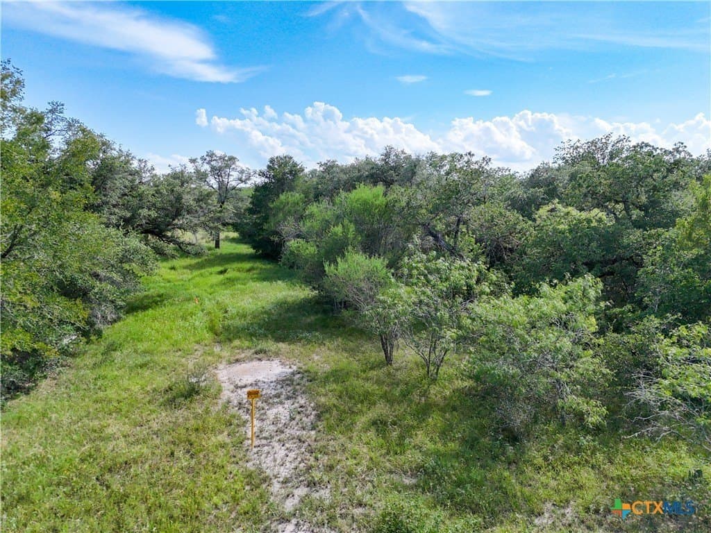 11.55 acres in Gonzales County - photo 5