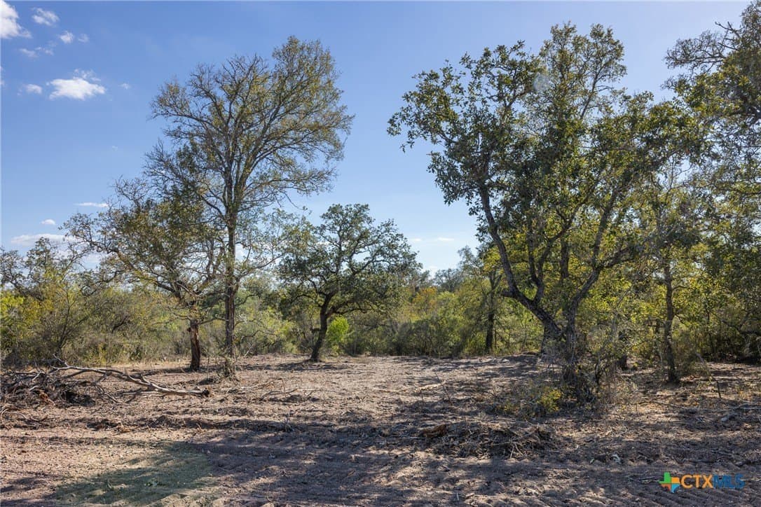 11.55 acres in Gonzales County - photo 30