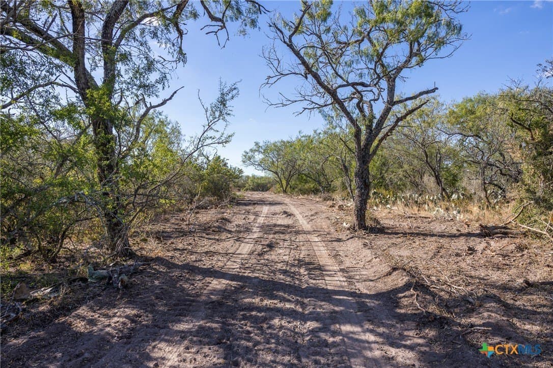 11.55 acres in Gonzales County - photo 29