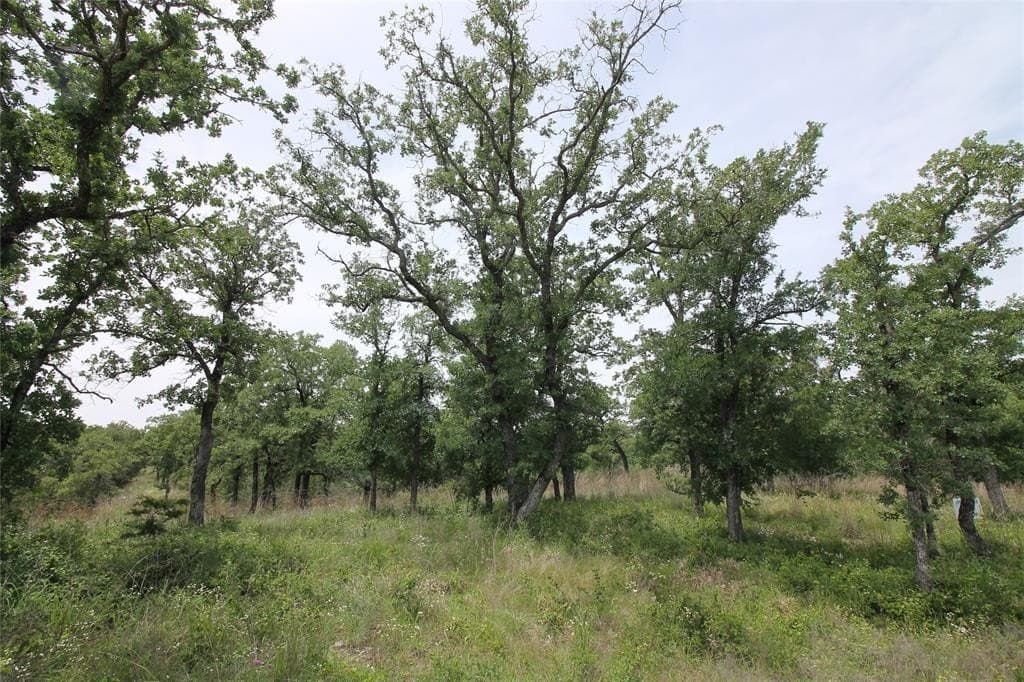 3.01 acres in Parker County - photo 30