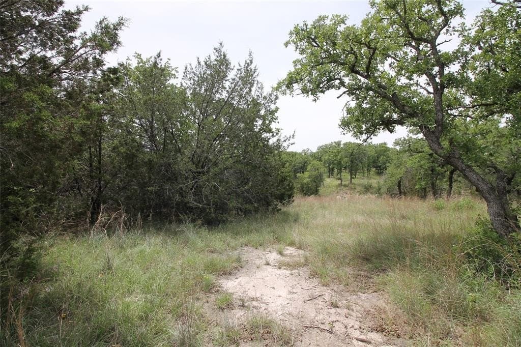 3.01 acres in Parker County - photo 26