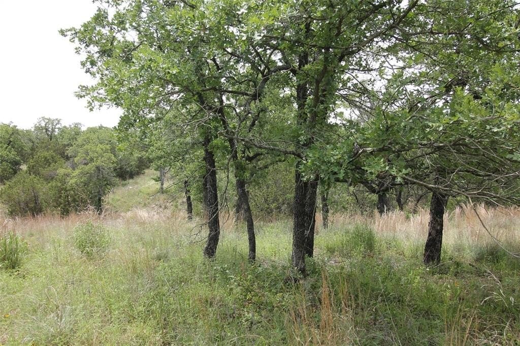 3.01 acres in Parker County - photo 29