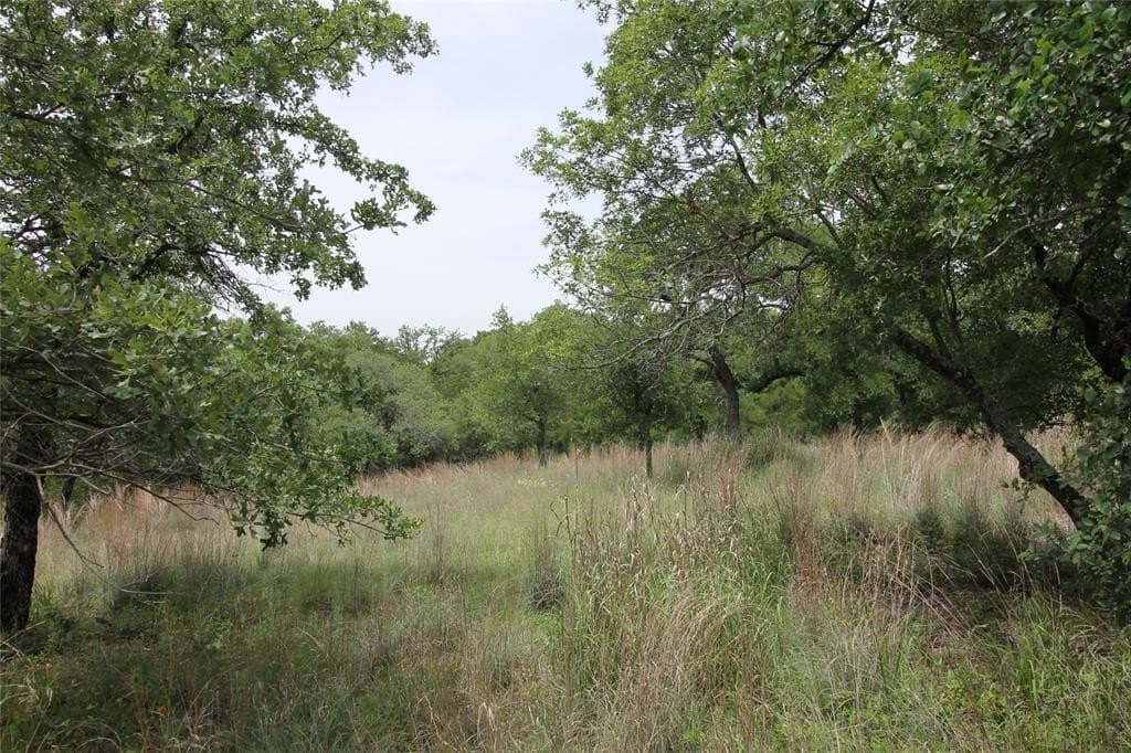 3.01 acres in Parker County - photo 28