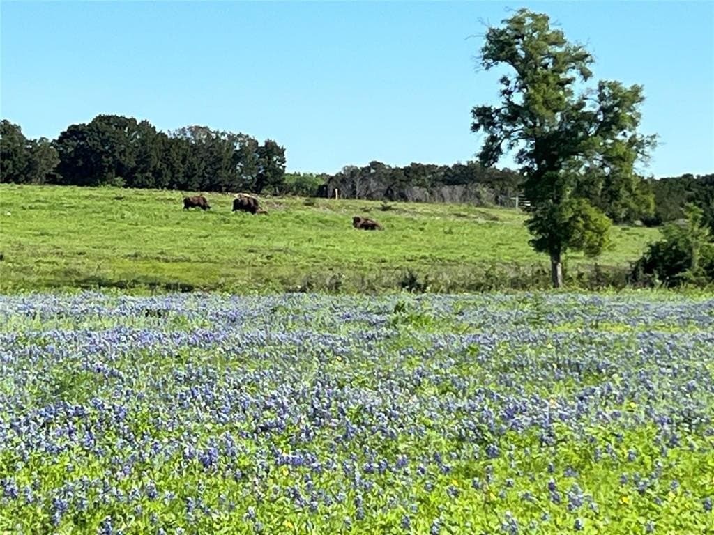7.8 acres in Johnson County - photo 6