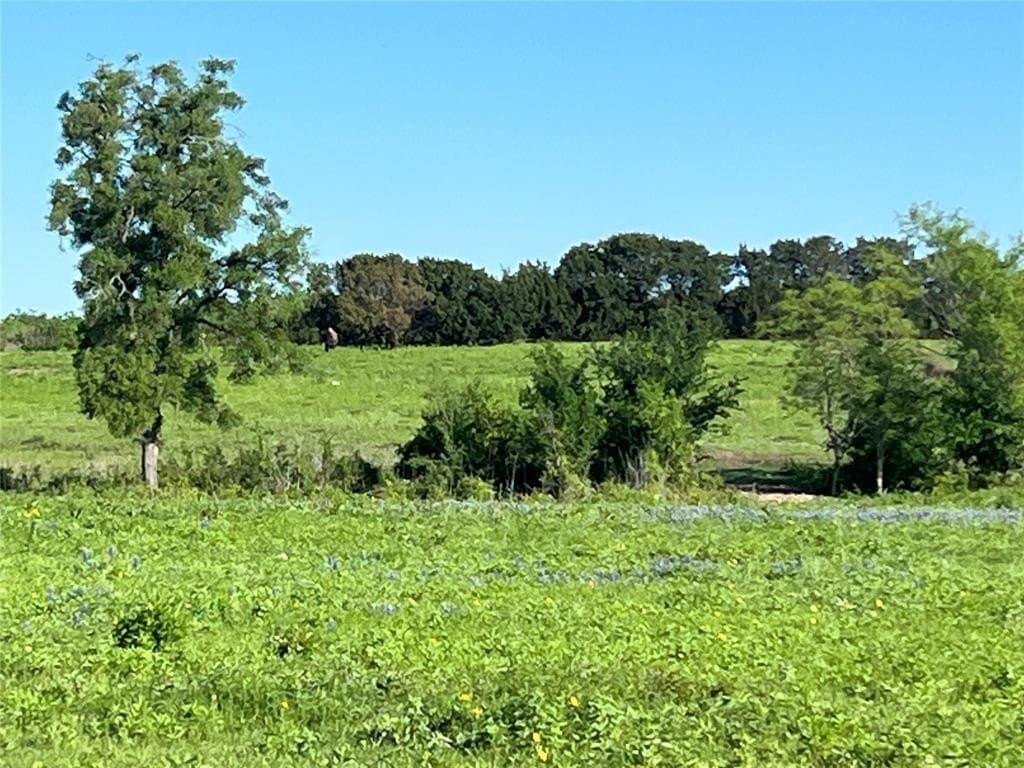 7.8 acres in Johnson County - photo 5