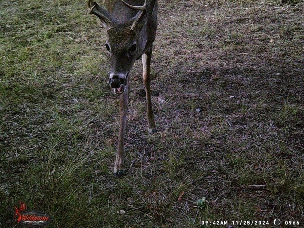 7.8 acres in Johnson County - photo 16