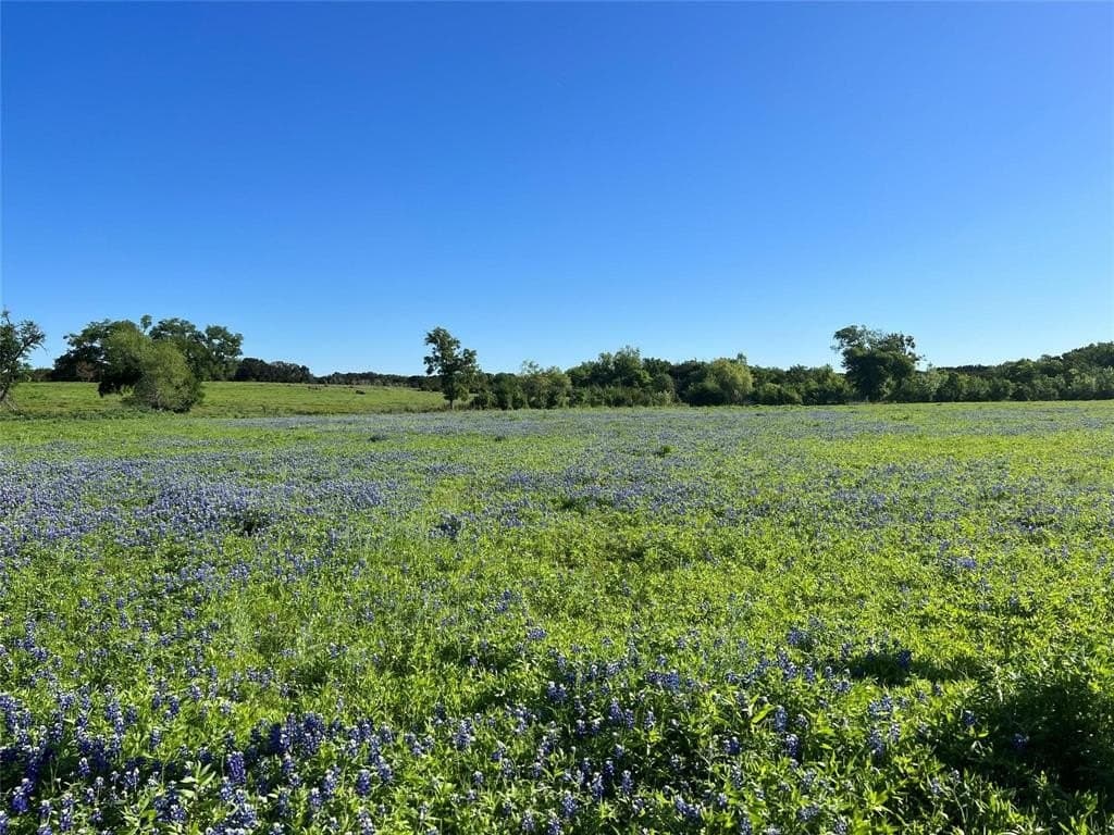 7.8 acres in Johnson County - photo 13