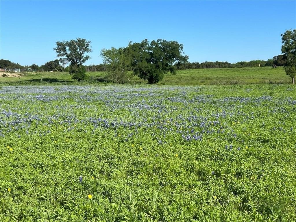 7.8 acres in Johnson County - photo 9