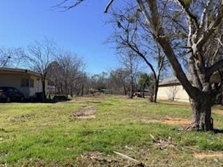 0.21 acres in Young County - photo 4