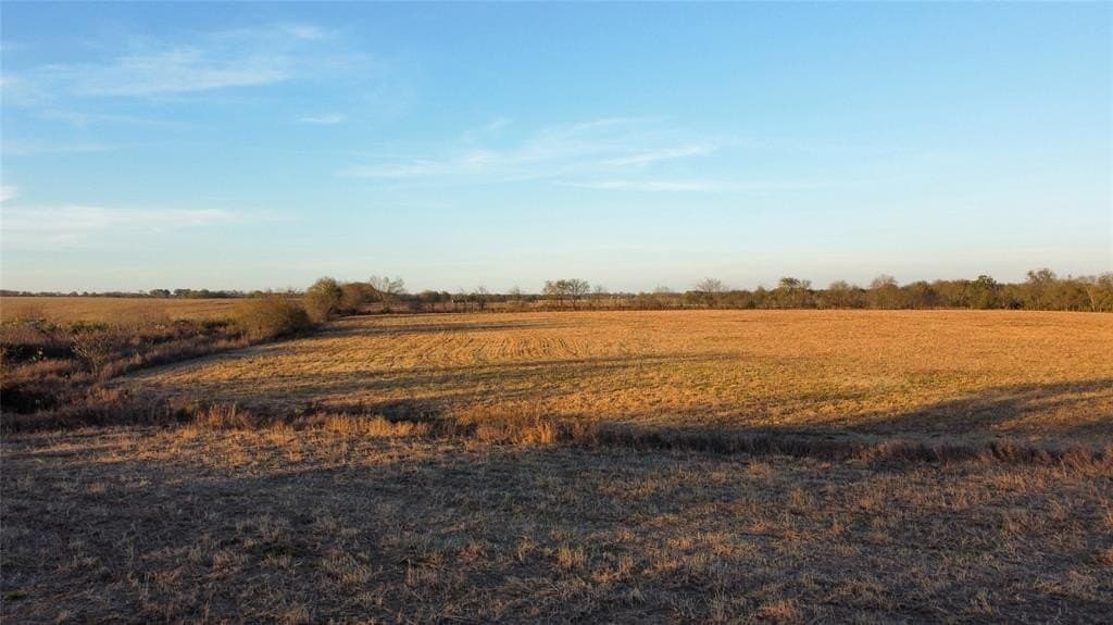 328 acres in Lamar County - photo 3