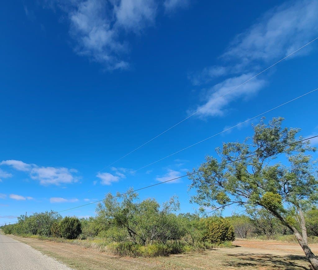 29.62 acres in Nolan County - photo 3