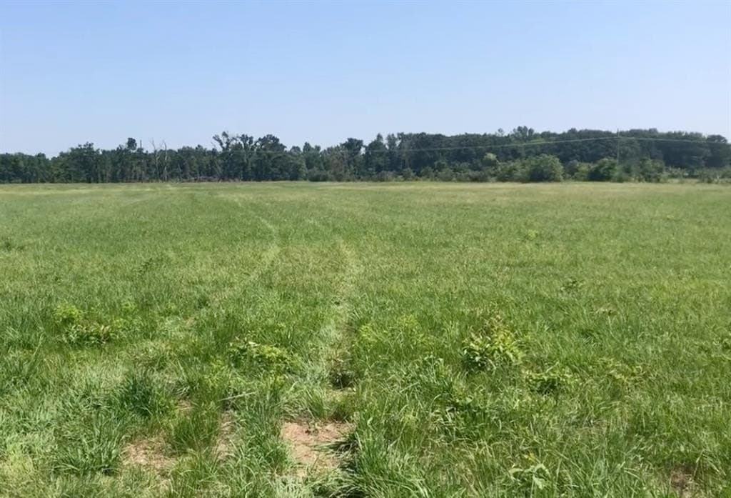 21.71 acres in Titus County - photo 2