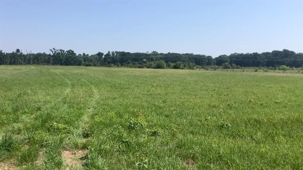 21.71 acres in Titus County - photo 3