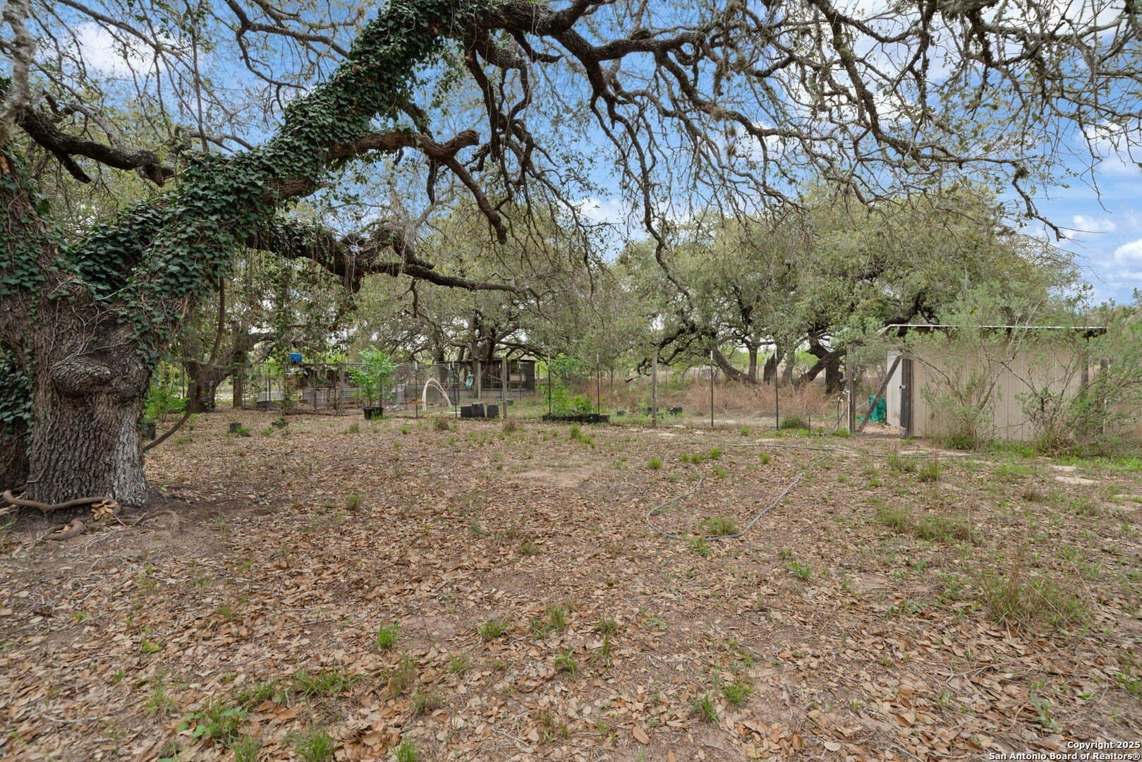 0 acres in Atascosa County - photo 25