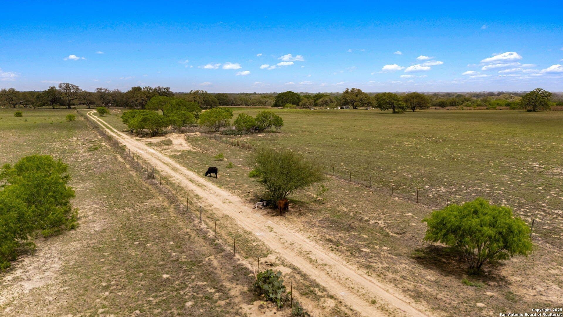 0 acres in Atascosa County - photo 47