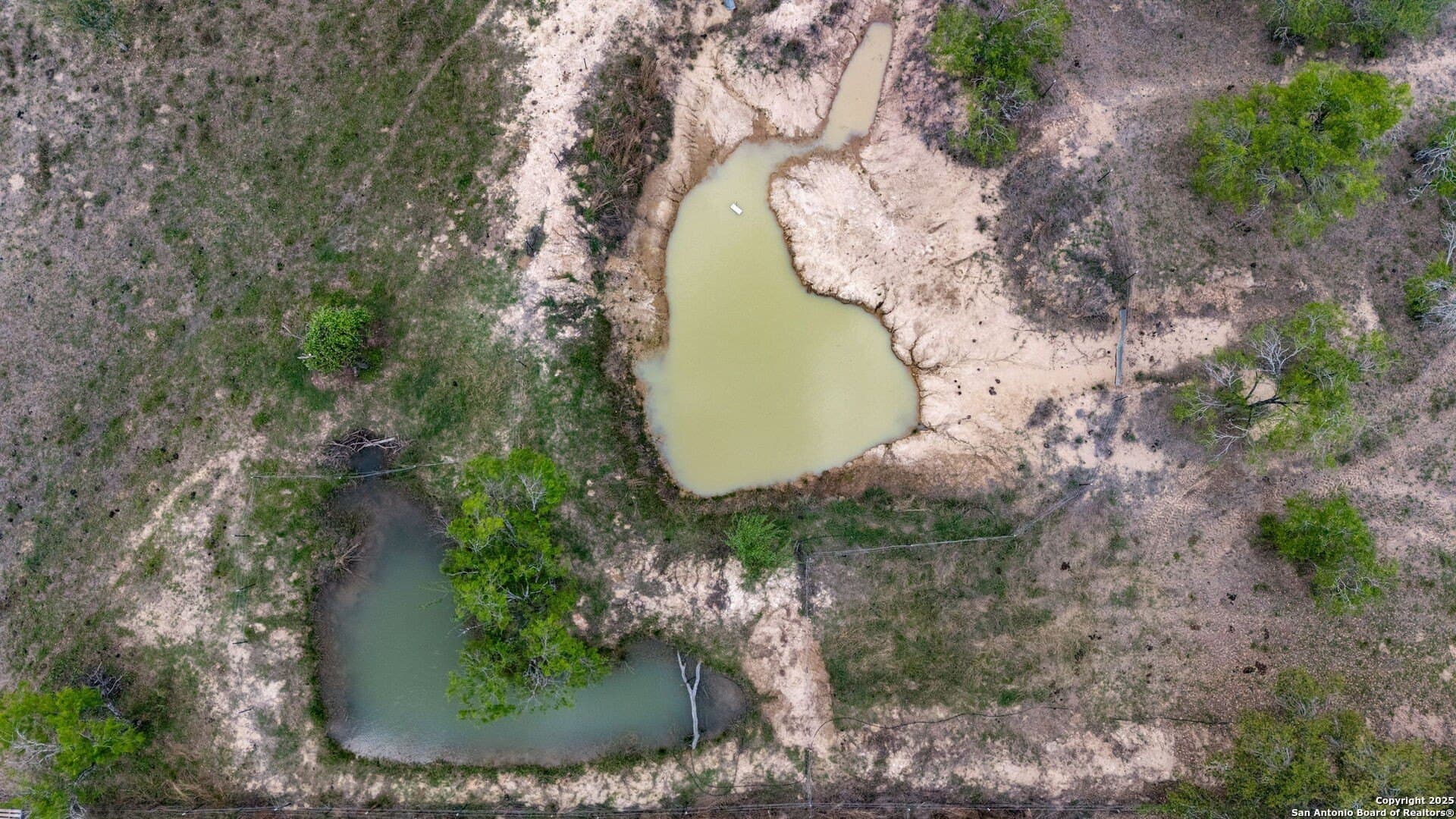 0 acres in Atascosa County - photo 32