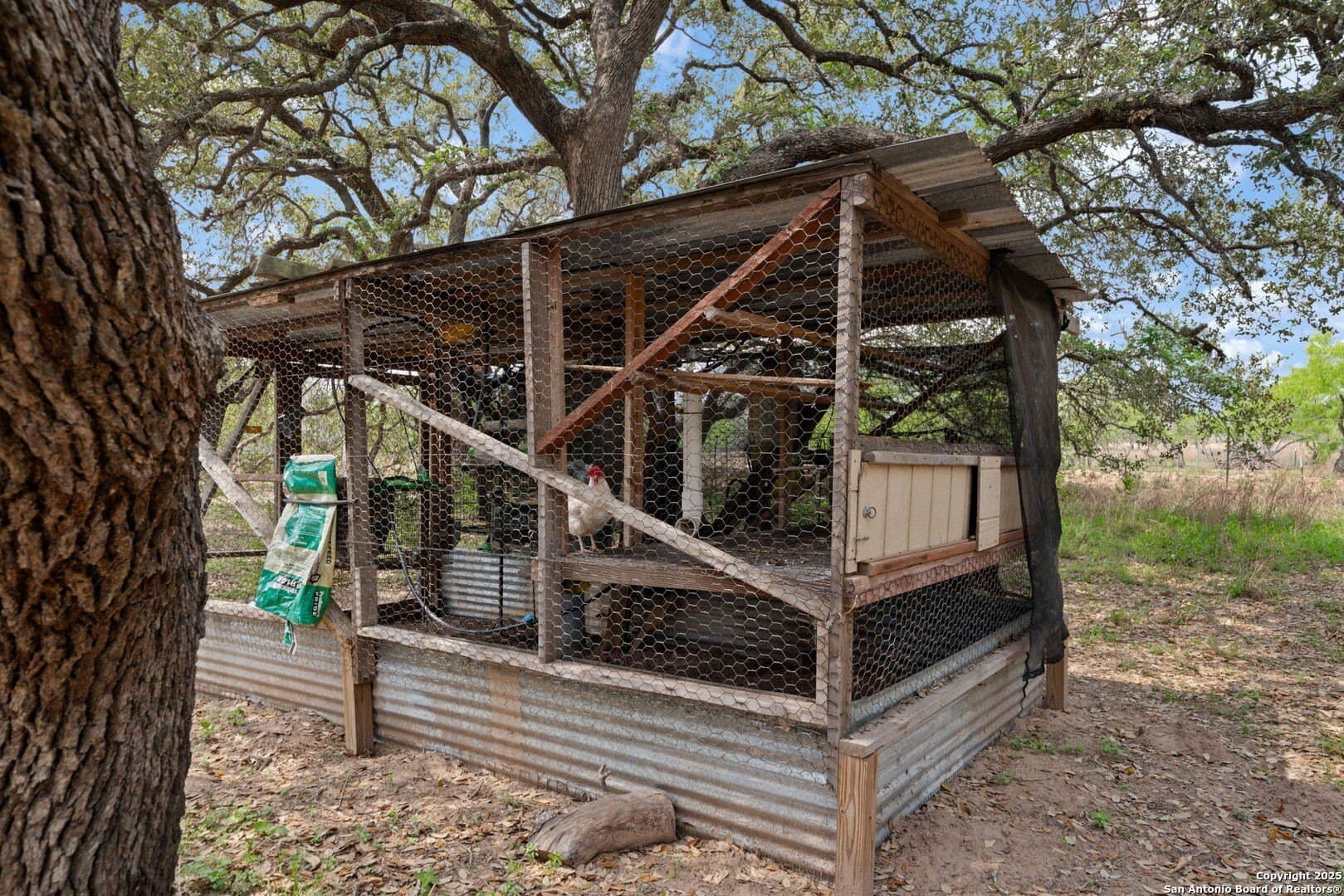 0 acres in Atascosa County - photo 28