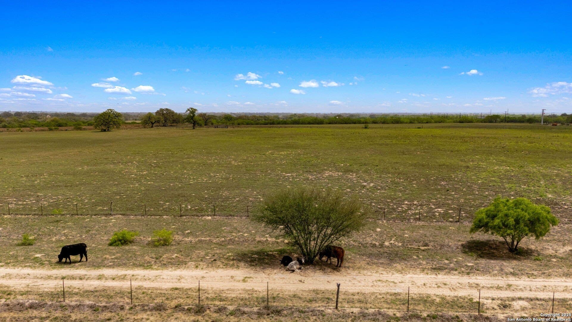 0 acres in Atascosa County - photo 46