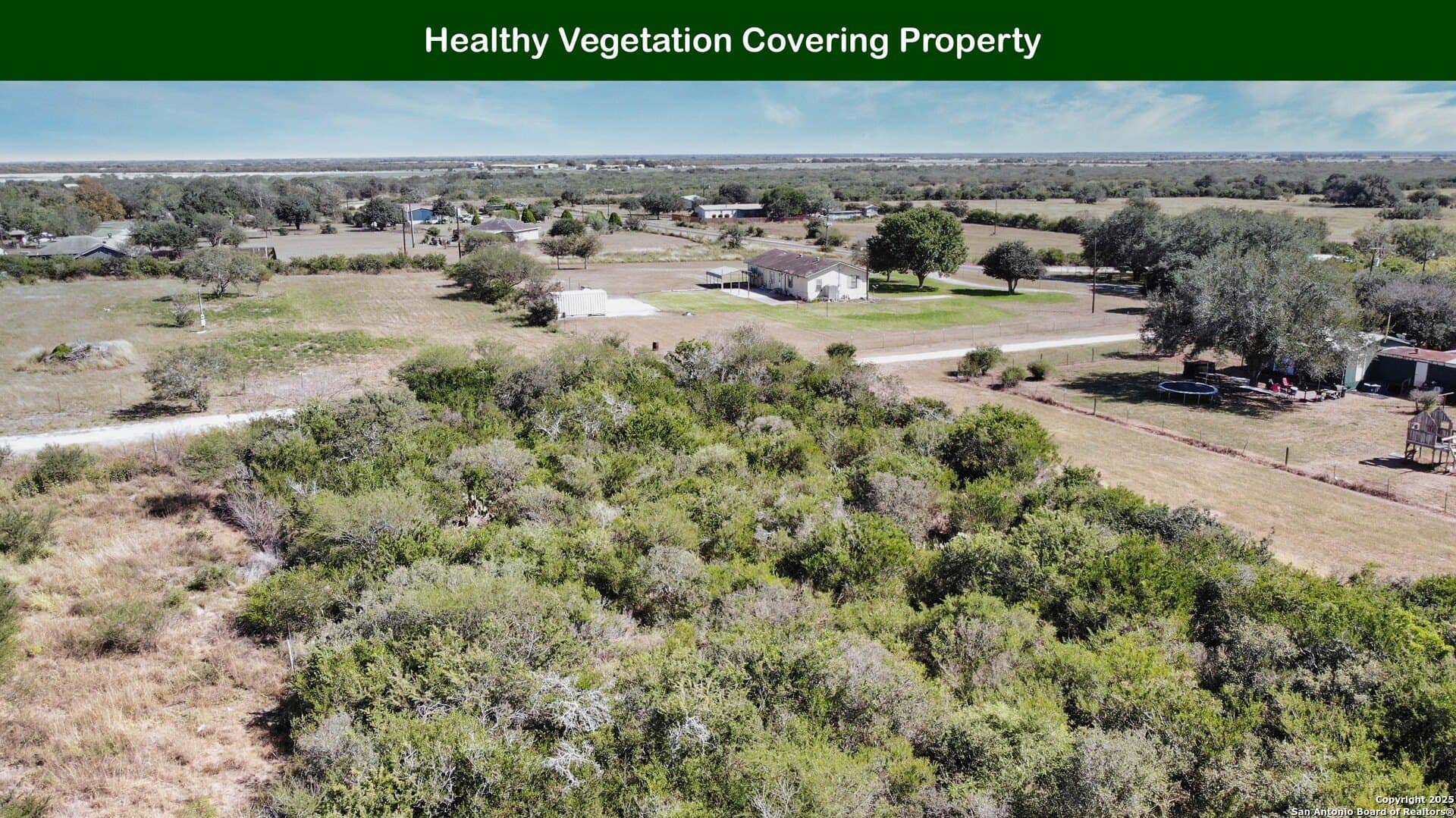 0.8 acres in Bee County - photo 14