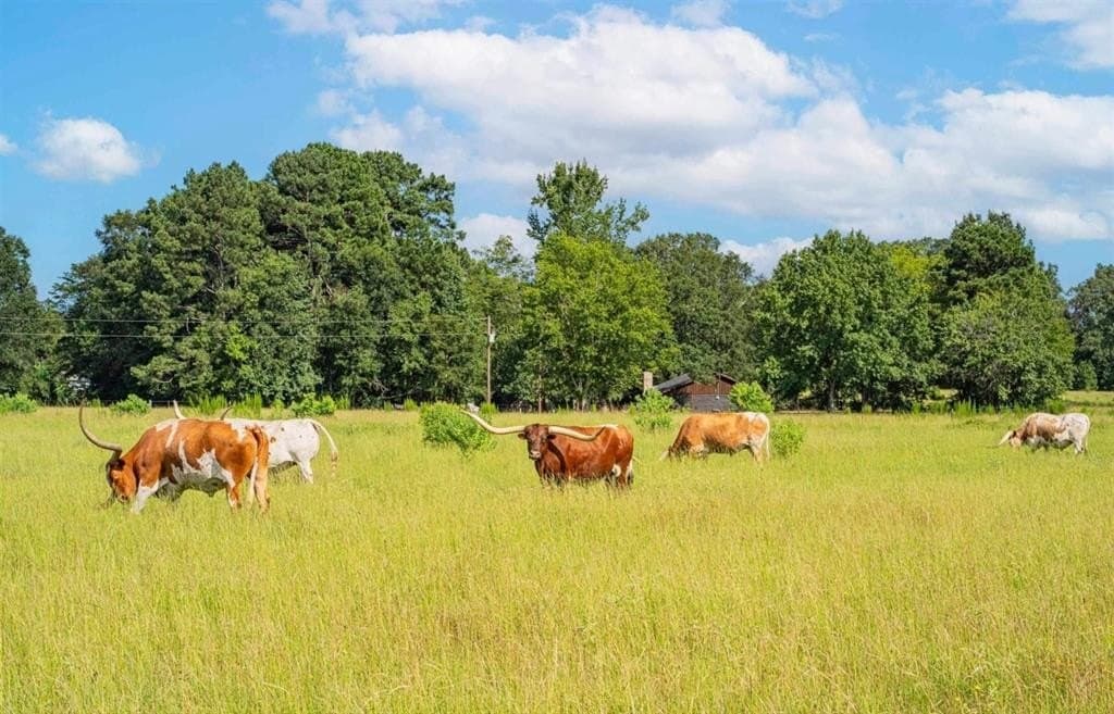 13 acres in Rusk County - photo 21