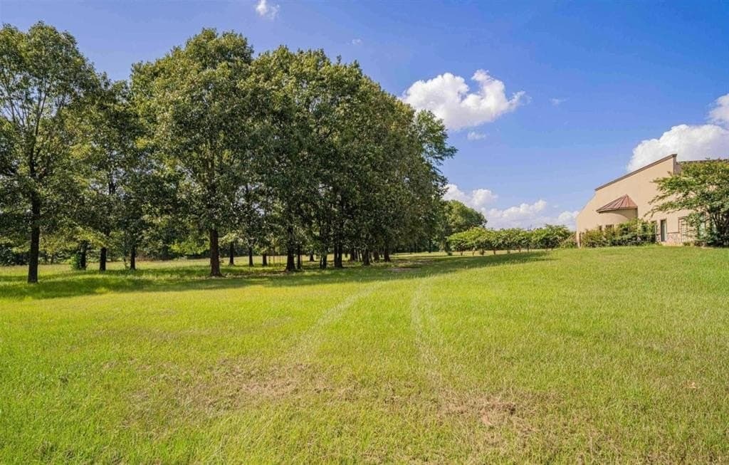 13 acres in Rusk County - photo 16