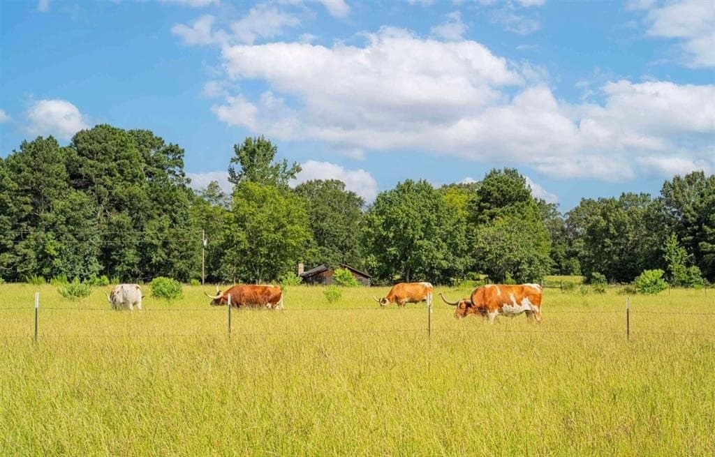 13 acres in Rusk County - photo 20