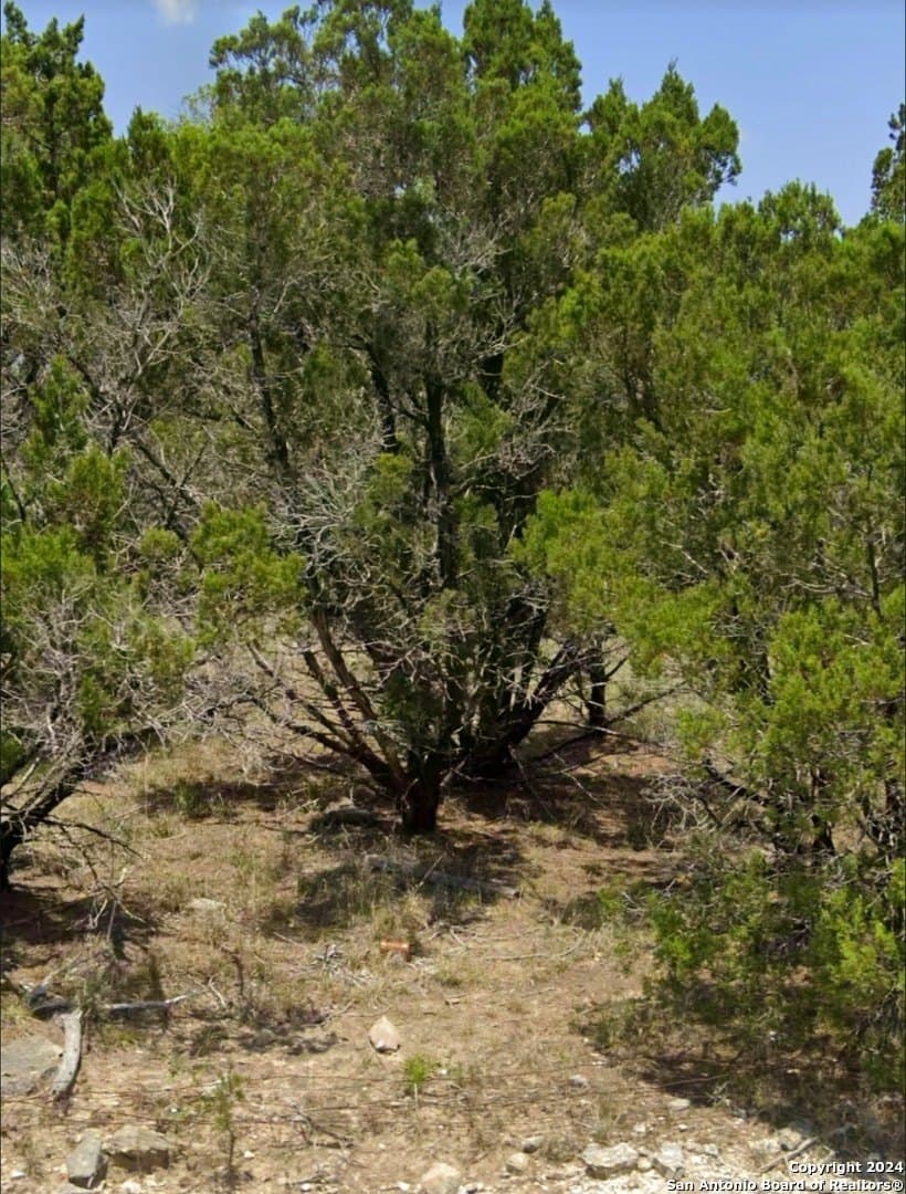 1.23 acres in Comal County - photo 8