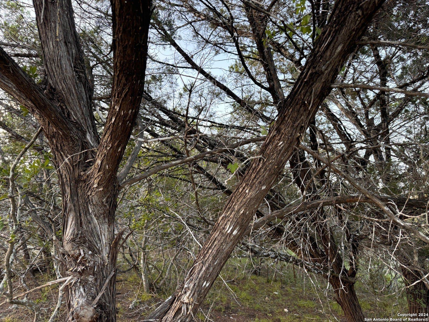 1.23 acres in Comal County - photo 5