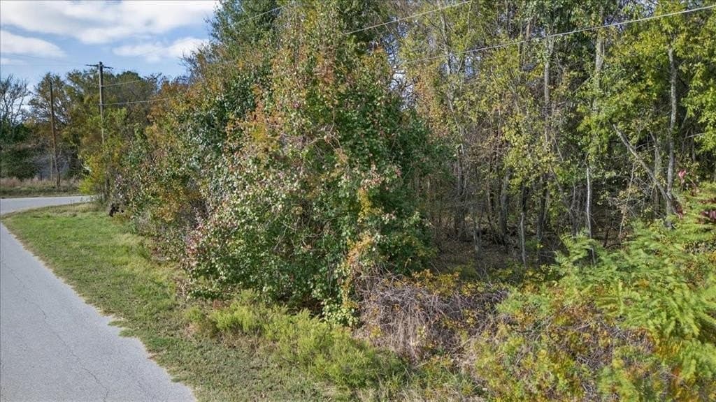 0.25 acres in Henderson County - photo 5