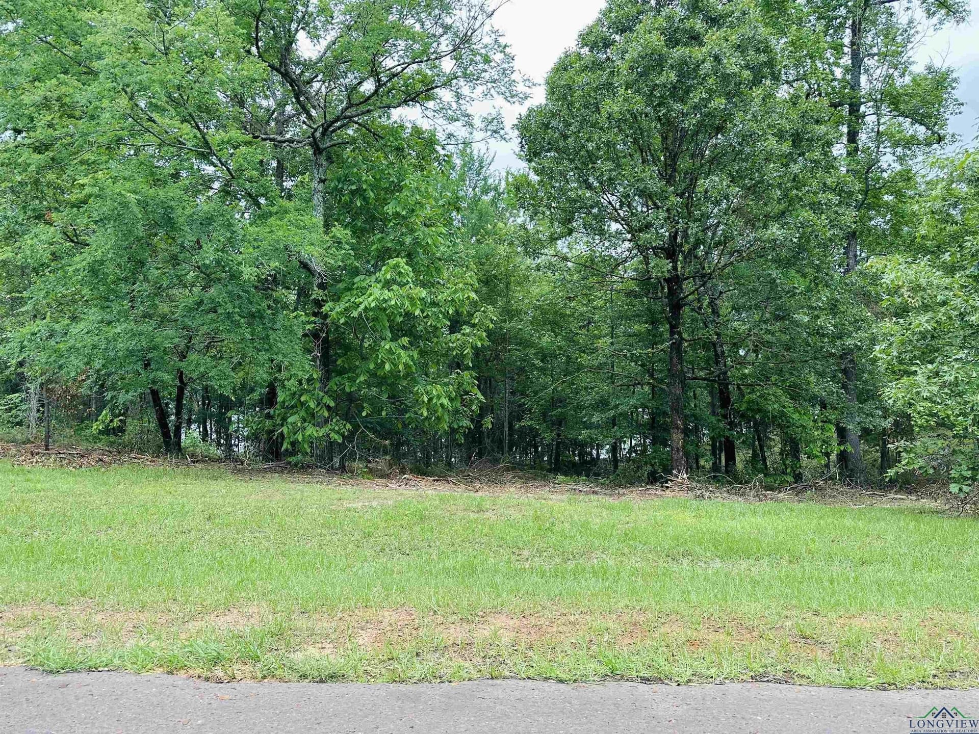 1.45 acres in Texas County - photo 3